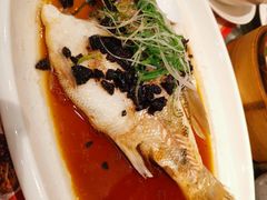 -虾饺妹·粤式手工点心(水荫路店)