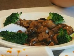 蘑菇-峨嵋酒家(地安门店)