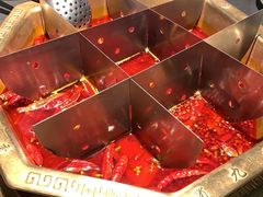 -蜀九香火锅(李家沱店)