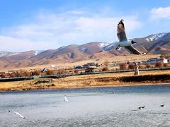 -青海湖国家重点风景名胜区