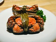 -同福龙虾(高新店)