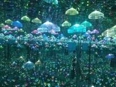 -深圳独角兽星空艺术馆