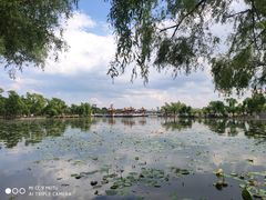 -长春市南湖公园