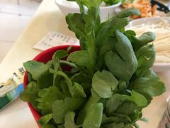 -阳坊胜利涮羊肉(阳坊老店)