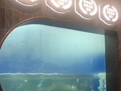 -渔惑·中山脆肉鲩火锅(仁恒梦店)