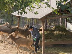 -青藏高原野生动物园