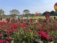 -中国科学院西双版纳热带植物园