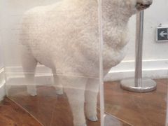 iphone_upload_pic-青岛葡萄酒博物馆