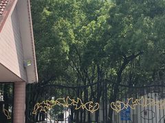 -宋庆龄幼儿园(虹梅路)