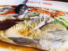 -丹江渔村(望京店)