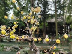 -成都杜甫草堂博物馆
