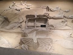 -洛阳周王城天子驾六博物馆