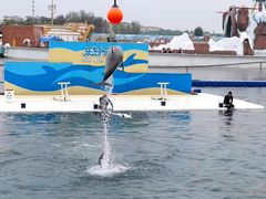 -秦皇岛乐岛海洋王国