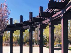 -永定河休闲森林公园