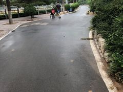 -石家庄市动物园