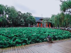 -四川大学(望江校区)
