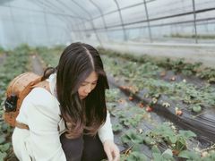 -普迪生态园