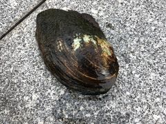 -杭州城北体育公园