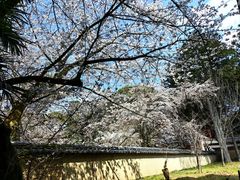 -醍醐寺