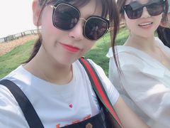 -大塘金香草谷