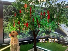 -英皇电影城(英皇集团中心IMAX店)