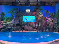 -珠海长隆海洋王国