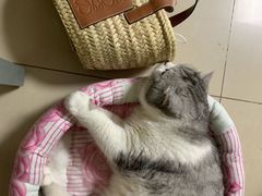 -LOEWE罗意威(北京SKP女装店(一层))