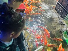 -太平洋海底世界