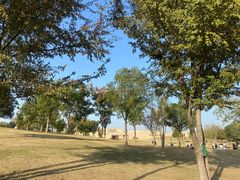 -盘龙城国家考古遗址公园