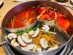 -青瓷火锅料理(西单大悦城店)