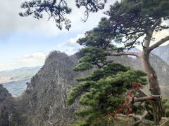 -大连天门山国家森林公园