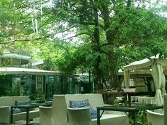 android_upload_pic-新竹里馆·花园餐厅(兴苑路店)