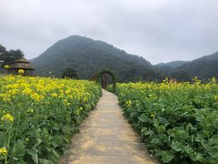 -广州市石门国家森林公园