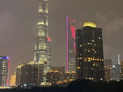 -新龙船黄浦江餐饮游船官方自营店