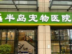 -半岛宠物医院24小时·内窥镜·牙科·碎石中心(府城大道店)