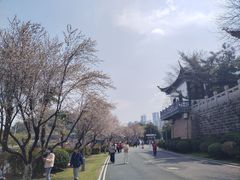 -月湖风景区