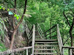 -东天目山风景区