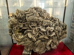 -游龙石文化科普馆