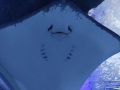 -多彩贵州城极地海洋世界