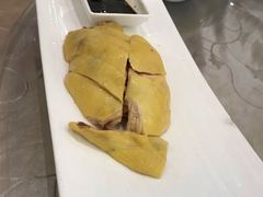 白斩鸡-乾隆美食·本帮菜(黄河路店)