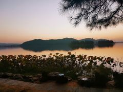 -东湖落雁景区