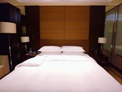 -扬州绿地铂骊酒店
