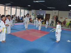 -陈中跆拳道(中关村馆)