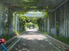 -光明小镇欢乐田园