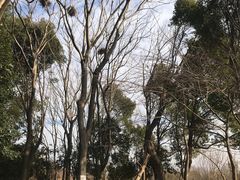 -梁鸿国家湿地公园