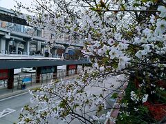 -上海南浦大桥长途旅游客运站