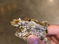 -阿甘锅盔(中关村食宝街店)