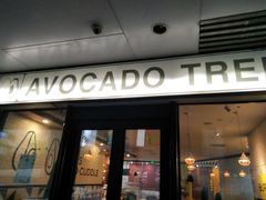 门面-油梨树 AVOCADO TREE(亮马桥店)