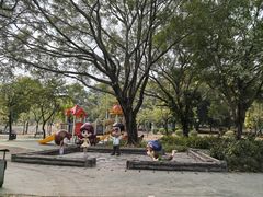 -东莞植物园