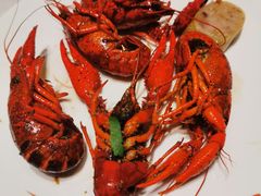 -张江海科雅乐轩聚聚乐